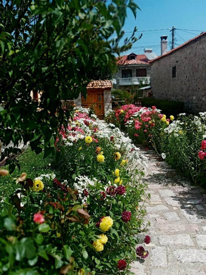 Bed and Breakfast Bujtina Shkodrani Voskopojë Zewnętrze zdjęcie