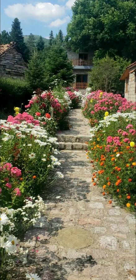 Bed and Breakfast Bujtina Shkodrani Voskopojë Zewnętrze zdjęcie